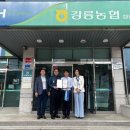 강릉 강릉농협 정동지점 강원일보