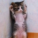 수원-0083 이미지