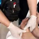 자연교육사 이미지