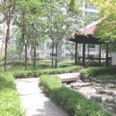 신림동-7 이미지