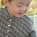 아이본 이미지