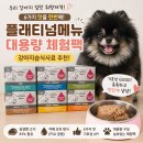 멍냥멍냥 | 플래티넘메뉴 직접 먹여본 후기 / 멍냥마켓 강아지습식사료 체험팩 추천