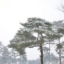 미추홀공원(다례원 옆) Daum카페