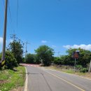 대정읍-3 이미지