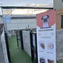 부여애견 | 충남 부여 애견동반카페 궁남지 주변 바이더폰드 후기