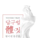 달구벌 체. 짓 이미지