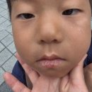 26290-20-10-010 | [괌가족여행] 대한항공, 호시노 리조나레 리조트, 돌고래, 남부투어 후기