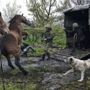 지연농장 이미지