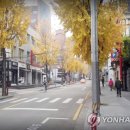 압구정로12길(가로수길) 이미지