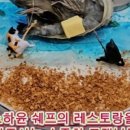 사계연화 이미지