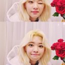 널;닮은꽃 이미지