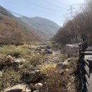 장계관광지 이미지