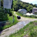 용계저수지 둘레길 이미지