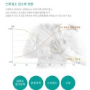 라라코리아 이미지