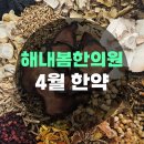 해내봄한의원 네이버블로그