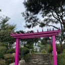 삼척로즈밸리가족독채커플 이미지