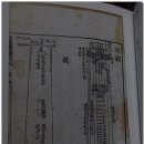 금보(琴譜) 이미지