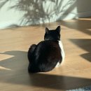 [11월 월담] 수원팔색길과 함께하는 감성여행 | daily ｜ 조각일상 54 ｜ 가을과 겨울 사이