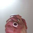 빨래천국 이미지