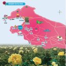 5월17일신안 보라빛마을 퍼플섬 반월도+박지도+ 옥도' 작약꽃 축제섬트래킹 이미지