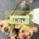 해운대자연유치원 이미지