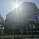 코스탐메디칼 | 마곡 서울식물원 플렌테리어 카페 플라워플로우 오픈런