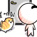 삼층고양이 네이버블로그