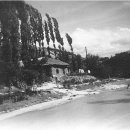 나의살던고향은 이미지