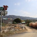 [경기도 양주시] 양주 탑 관광농원 글램핑장