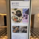 마곡 맛집 호텔 뷔페 모아시스 평일 런치 이용 후기