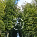 성화목장 | 제주도 말 볼 수 있는_대한목장_ 리뷰