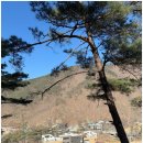 은하수리조트 이미지