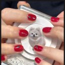 네일(nail) 쏭