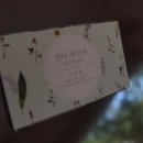뚜아에무아 이미지