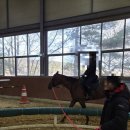 유성승마장 | 성인 취미승마 / 승마레슨 후기 / 대전 복용승마장