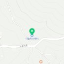 스테이프로방스40 이미지