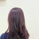 디어포유헤어 네이버블로그