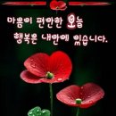 좋은세상약국 이미지