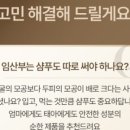 로블