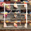 스시앤도그 - 전주시 덕진구 가재미로 51 | 강남 맛집 역삼역 근처 가성비 오마카세 [삼미미 스시 앤 이자카야] 런치스시 후기
