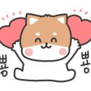 나아라 동물병원 이미지