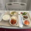 코끼리자동차공업사 | 인생 첫 교통사고 후기, 강남 자생한방병원 입원 실시간 일기 💉