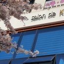 살롱케이 네이버블로그