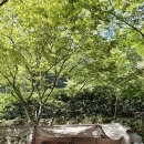 한반도캠핑장민박 이미지