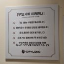 데이롱카페안양