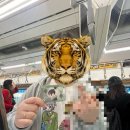 가은6호 이미지