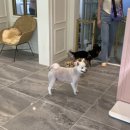 그루밍 모먼트 이미지