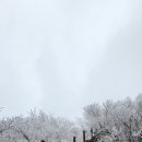 [영남알프스] 신불산&amp;영축산