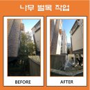 우정벌목 | 주택 주차장 화단 나무 벌목 화단 정리 업체
