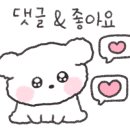 스테이 명암 이미지